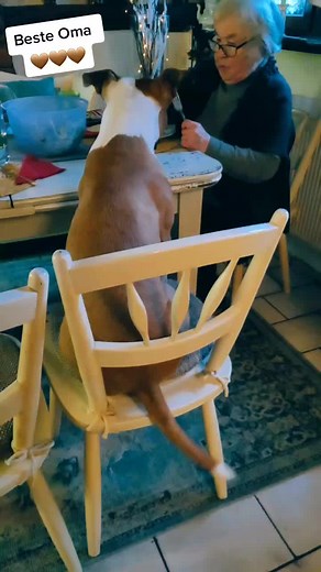 Nina & Heidi Witzka on TikTok