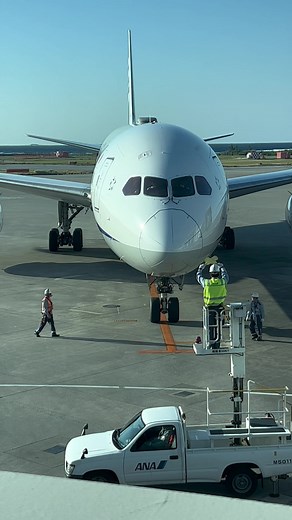 みんな大好きマーシャラーさん✈️ #ANA #全日空 #飛行機好きな人へ #飛行機 #空港 #グラハン #グランドハンドリング #那覇空港 #ボーイング787 @ANA🇯🇵✈️