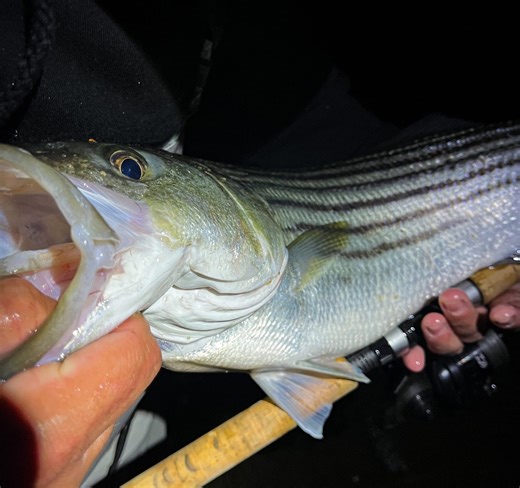 Southern New Jersey Fishing Report- March 5, 2026 - On The Water