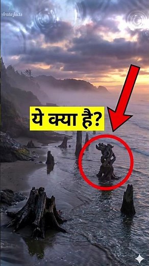 Oregon’s Creepy "Ghost Forest" Explained 🌊