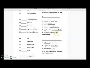 Microscope Parts Quiz