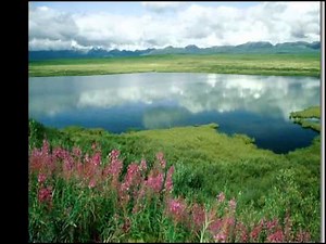 Phantom of the Opera - Richard Clayderman