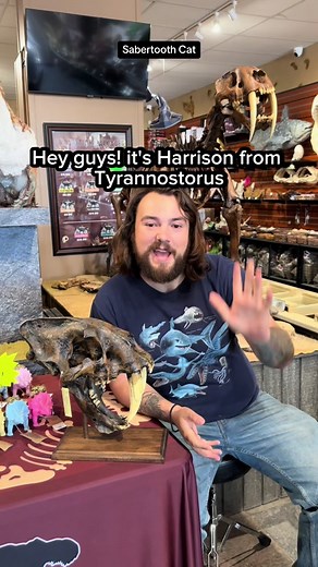 New Sabertooth facts!🐅🐅 —————————————————— Follow for more Dinosaur and Prehistoric reels! —————————————————— #sabertooth #dinosaur #dinosaurs #sabertoothtiger #prehistoric