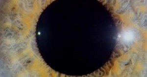 How Do You Know If You're Color Blind? | Articles on WatchMojo.com