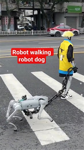 Robot Walking a Robot Dog?! 🤯#shorts# #robot