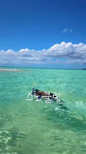 A private dolphin tour shared with a lovely family 🐬 At high tide, Bikini Island reveals its most magical 모습 — crystal-clear, sparkling waters so pure you can see straight to the bottom. Children splashing, laughing, and playing freely in the sea, it feels just like a little piece of heaven on earth. Moments like these turn into the most beautiful family memories. Experience this paradise at Bikini Island Club, Guam 🤍🌊 #BikiniIslandClub #PrivateDolphinTour #FamilyTravelGuam #CrystalClearWater