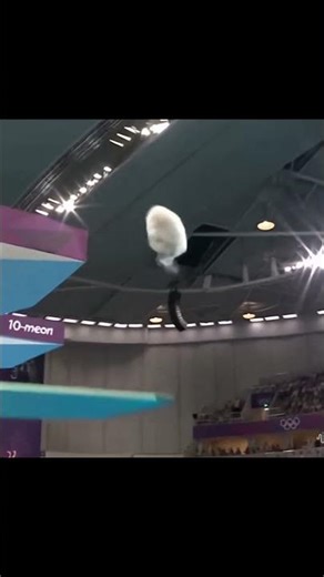 Dog’s Olympic Dive Into Pool | AI-Generated Gold Medal Moment