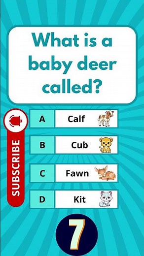 What is a baby deer called ? #usaquiz #funquiz #brainteaser #usafacts