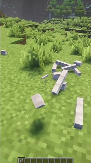 Pale Oak Fence Gate Physics in Minecraft