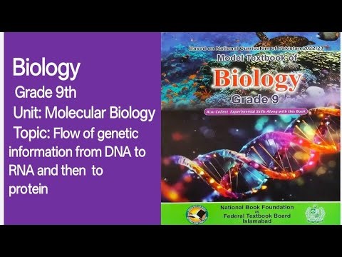 Unit: Molecular Biology,Topic:Flow of genetic information from DNA to RNA and then to proteins#nbf