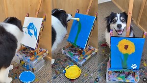 Daisy or Sunflower? Whatever it is, this dog can paint