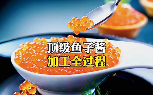 顶级鱼子酱加工全过程