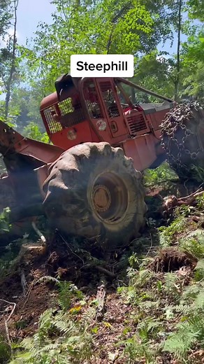 #Splice #timberjack240 #winchwork #loggerlife #loggertok