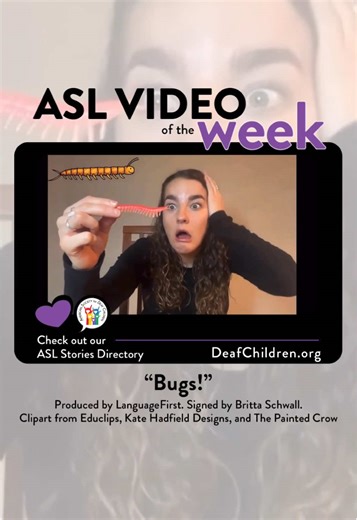Explore Bugs with ASL: Fun for Kids!