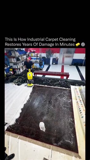 sci || tech || history on Instagram: "If you’ve ever wondered how professionals remove years of embedded dirt without ruining the rug, this is exactly how it’s done. 🔥🧠 This process isn’t simple washing. It combines pre-treatment chemistry, controlled heat, and mechanical agitation to break the grip of dirt, oils, and debris trapped deep within the fibers. Specialized rotary extraction machines apply even pressure across the entire surface, lifting contaminants while protecting the rug’s struc