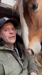 113K views · 3.5K reactions | Ihr lieben. Bevor nun die Flut beginnt der Silvester und Neujahrswünsche auch von uns einen tollen Rutsch ins neue Jahr. Nehmt euch nicht zu viel vor 蘭 kommt gut rein auf das es unser Jahr wird  Haut mal gerne Bilder von euren fellnasen in die Kommentare. Ich hoffe doch das gerade für die Tiere es ein ruhiger Start wird  | Sebastian Marx | Facebook