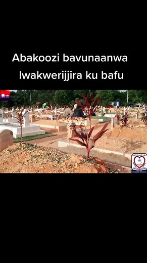 Atualizações da CBS FM: Música e Cultura Local