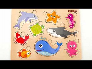 Learn Sea Animal Names with Activity Puzzle | Preschool Toddler Learning Video