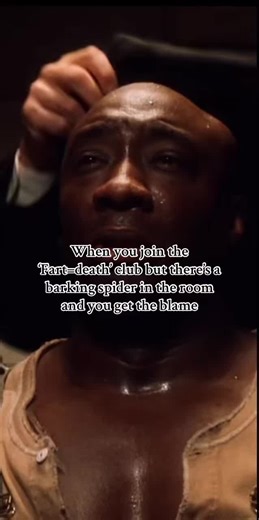 Barking Spider Antics: Hilarious Moments Unleashed