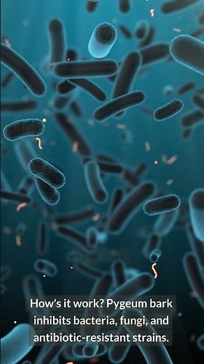 Pygeum Bark: The Ultimate Natural Defense Against Microbial Threats!