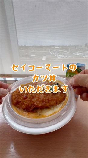 【茨城空港】北海道出張行ってきます【空いてて便利】 #茨城空港 #ニアジョイ #大空ビュンと #ニアリーイコールジョイ #セイコーマート #カツ丼 #ぬい撮り #スカイマーク #戦闘機