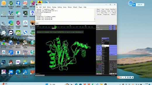 手把手教你定点突变|氨基酸残基的替换