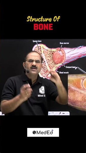 Structure of bone#anatomy #pw #drpradeeppawar #science #todayviral #trending #shorts #viralvideos