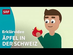 How does an apple grow? – simply explained | Children's videos | SRF Kids