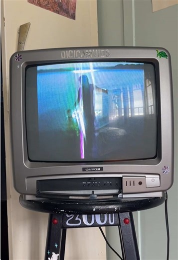 Exploring Nostalgia with Old Digital Cameras