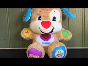 Fisher price children's Interactive Laugh and learn Puppy Dog Musical toy