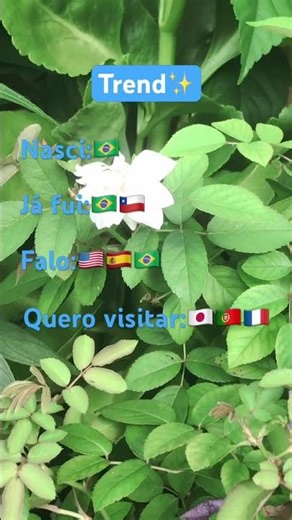 Tentando reviver a Trend…