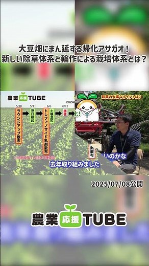#切り抜き 大豆畑にまん延する帰化アサガオ！大豆収穫の危機！新しい除草体系と栽培体系の提案に地域ぐるみで取り組むJA古川の方にインタビュー #日産化学 #shorts