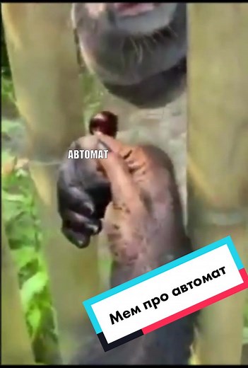 #матфак#имифи#сфу#x34e_show