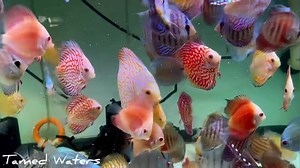 1.2K views · 72 reactions | Nothing better than being alone in the...