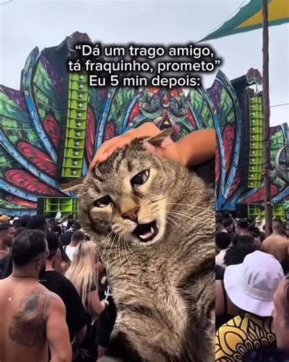 Finin e a Música Eletrônica no Rave