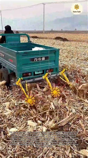 Most Satisfying Field Clearing Machine You’ll Ever See: How Fast This Clears a Corn Field