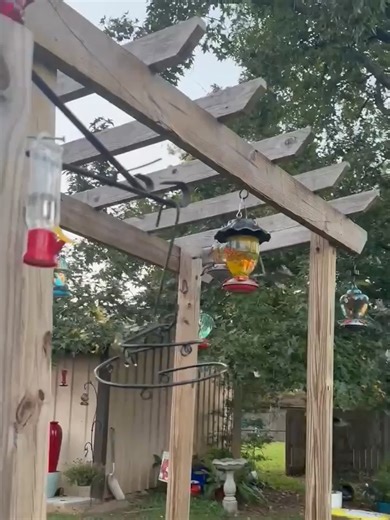 💜HUMMINGBIRD VIDEO OF THE DAY!💜 15 pounds of sugar yesterday. This is only the back corner of my yard. Just a person that loves these little creatures. By Steph Parnell, SE TX Sept 23, 2025 🌺Mini Hummingbird Feeder 4 Pack ($11.99) 🌿AMAZON: https://amzn.to/3LGaEg2 ____________________________________ Amazon Associate. I earn from qualifying sales | Hummingbird-News
