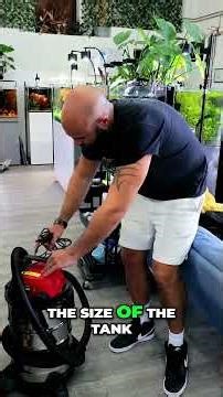 Aquarium Build Pro Tips for a Stunning Nature Tank on a Budget! #plantedtank #fish #aquarium