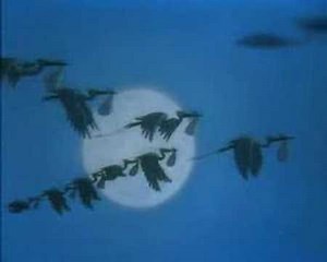 Fixeu la vista al cel (Look out for Mr. Stork) -DisneyCatalà