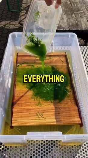 how to make paper #commentary #lifehacks