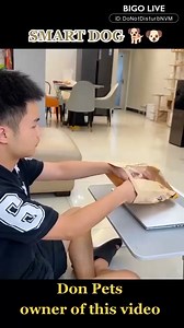 3.3M views · 84K reactions | Mans best friend  | Ian Rey | Facebook