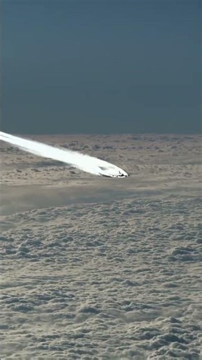 ✈️🛫Boeing 747 Beautiful flight #FloraFauna