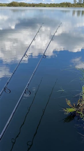 1.8K reactions · 46 shares | TX ULTRA - THE ULTIMATE CARP FISHING ROD #TXRods #TXrodrange #ShimanoTXrange #Carpfishing #Fishing #Carpfishingrods | Shimano-Tribal | Facebook