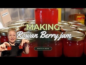 Making Rowan Berry Jam