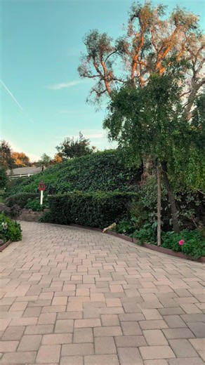 Aly Corvin on Instagram: "Don’t forget to send this ✨Daily dose of wheelie✨ to someone who needs a little bit of joy today. 😌🫶🏼✨ Alt text: a woman comes into frame in a wheelie in her wheelchair, stops, turns around and then talks to the camera. She backs out of camera and the video ends. Captions are on screen for accessibility. #Wheelie #DailyDose #Happy #Joy #Random"