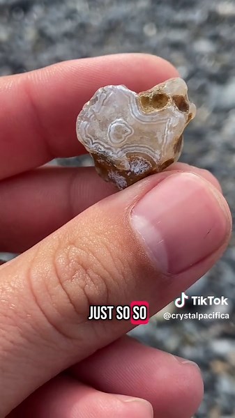 I love #oregon and don’t think I’ll ever leave this place. No better way to fight depression than the ocean energy and some beautiful rocks. #rockhounding #agates #sagenite #crystalpacifica