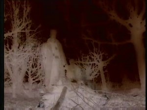 Cocteau Twins - Pearly Dewdrops' Drops (1984) | Music Non Stop