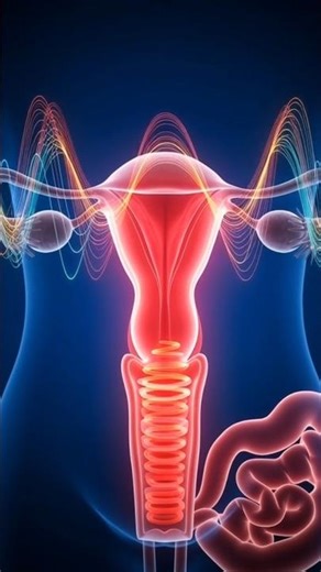 Female Reproductive Track Intake Sperm