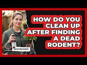How Do You Clean Up After Finding A Dead Rodent?