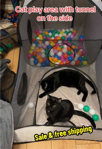 Interactive Cat Play Tent for Fun Filled Adventures